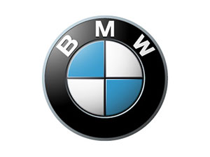 Used BMW Engines